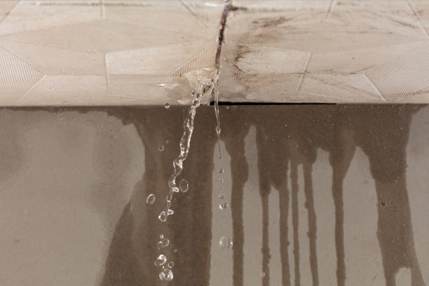 Professional Flood Damage Cleanup technician working in Waverly, WA